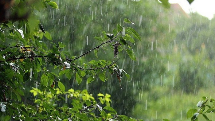 Bir sıra ərazilərə yağış, Şahdağa sulu qar yağıb - FAKTİKİ HAVA