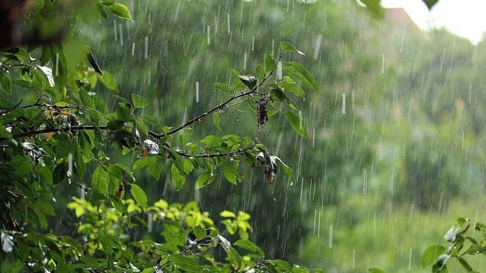 XƏBƏRDARLIQ: Külək əsəcək, yağış yağacaq XƏBƏRDARLIQ: Külək əsəcək, yağış yağacaq