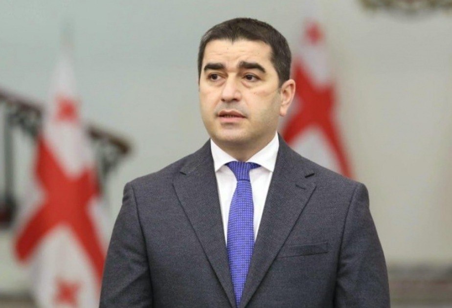 Gürcü spiker: “Azərbaycanla regional sülhün təmin edilməsində sıx əməkdaşlıq edirik”