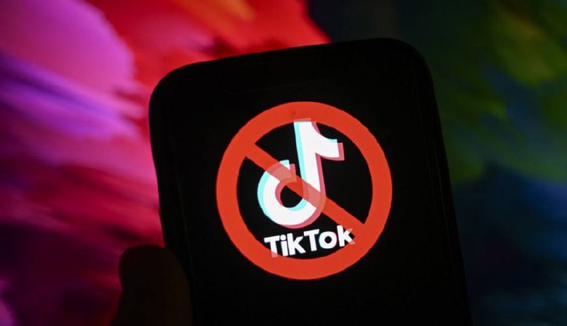 Türkiyədə bu şəxslərə “TikTok” QADAĞAN EDİLDİ