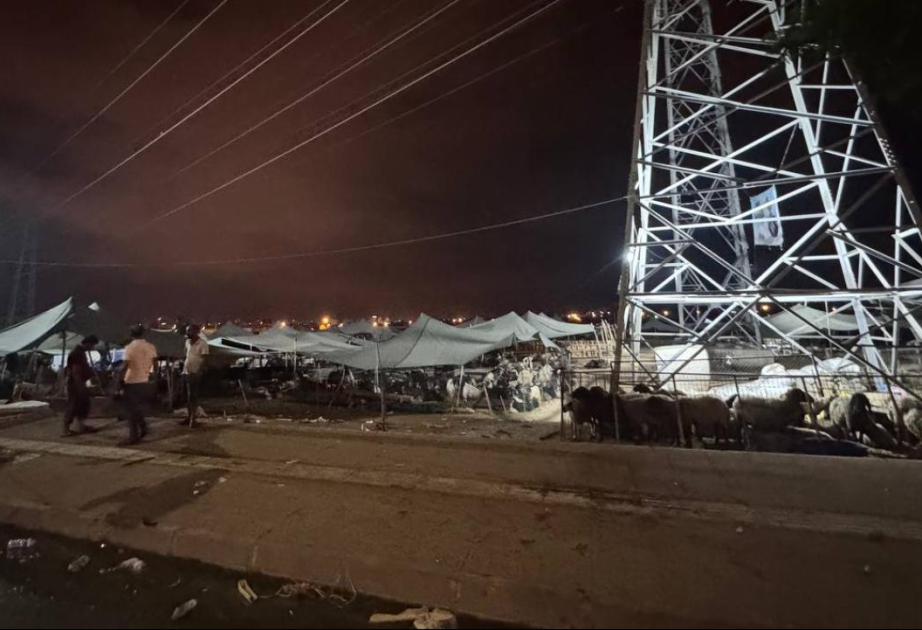 Türkiyədə avtomobil heyvan bazarına girdi - 8 yaralı var