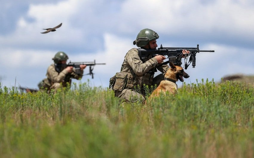 Türkiyə ordusu İraqda bu kəndləri PKK yaraqlılarından təmizləyir - FOTO