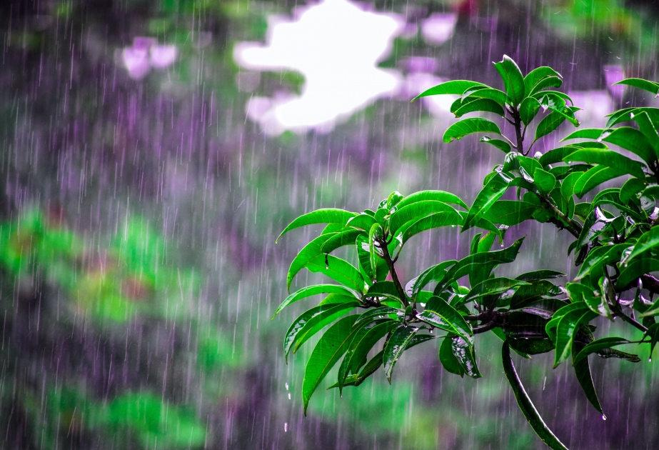 Şimşək çaxıb, arabir yağış yağıb – FAKTİKİ HAVA