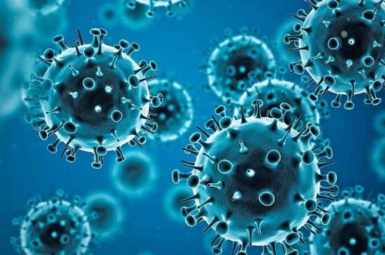 Ukraynada koronavirusun yeni ştamı aşkarlandı