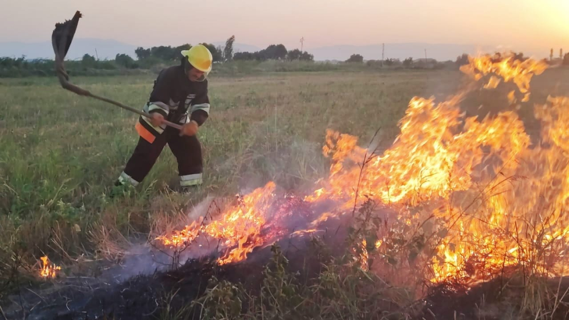 Naxçıvanda sahələrdə yanğınlar olub - FOTO