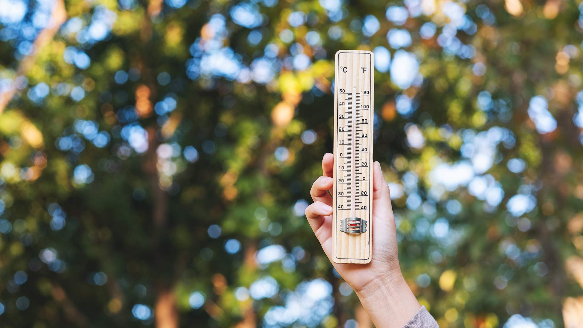 Avqustda temperatur iqlim normasından YÜKSƏK OLUB