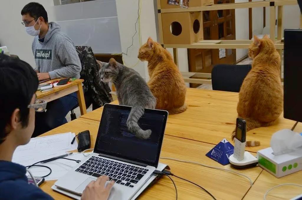 Yaponiyada çalışmaqdan bezən işçilər üçün UNİKAL ÜSUL - FOTO