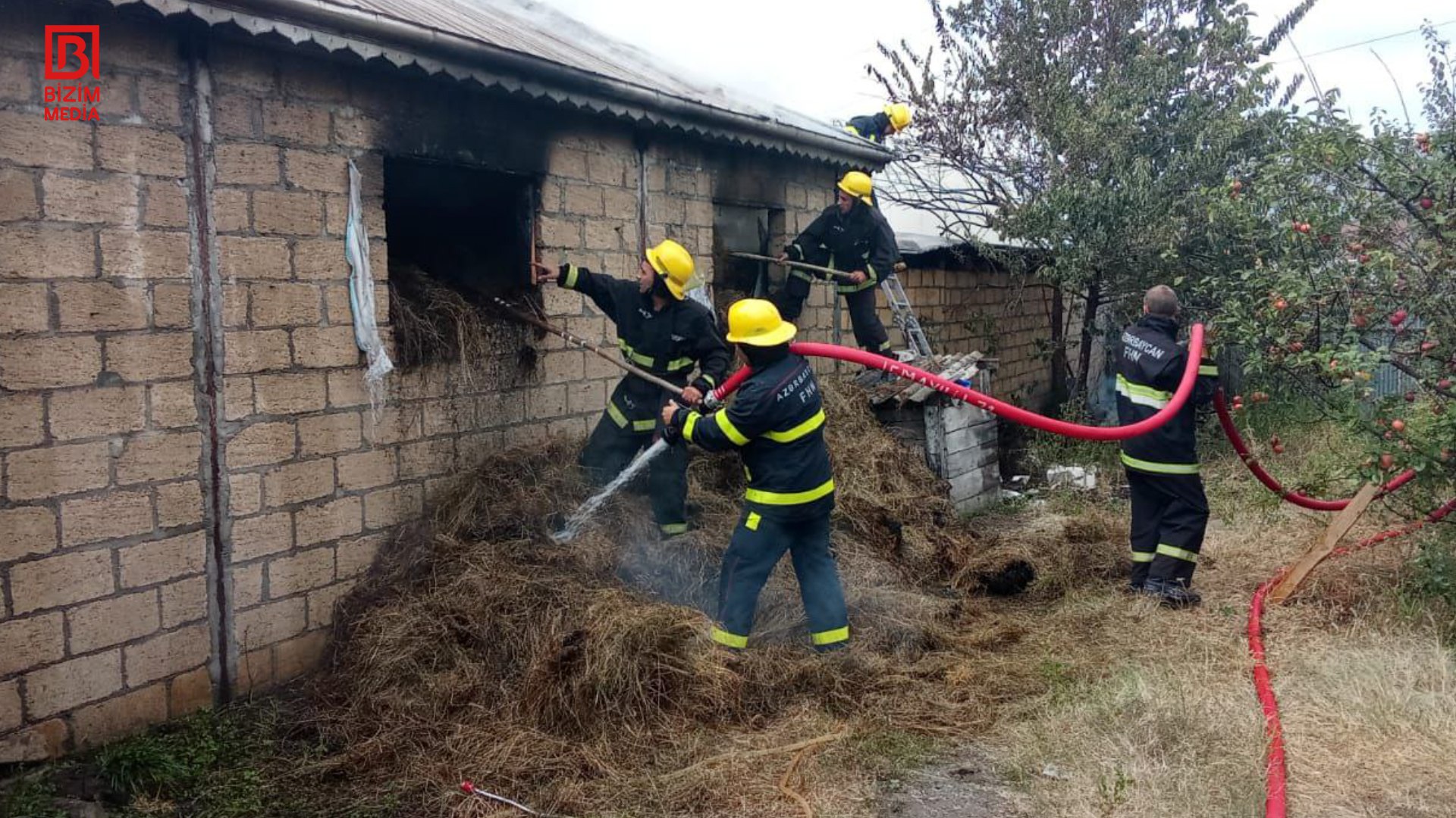 İsmayıllıda güclü YANĞIN: Ev quşları tələf oldu – FOTO