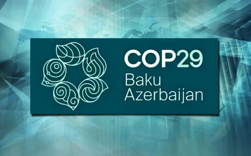 COP29-da Kaliforniya Universitetinin müəllim və tələbələri də iştirak edəcək