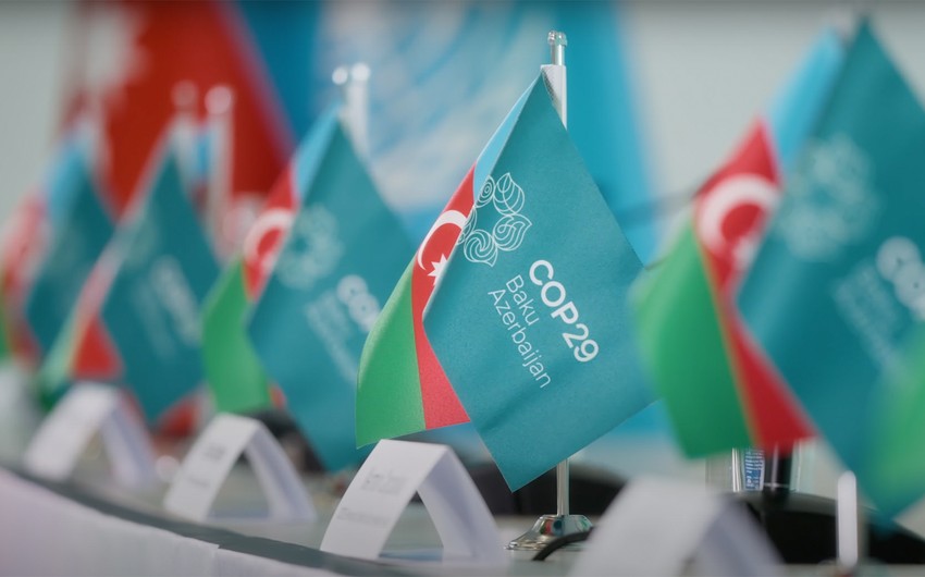 COP29-un "Yaşıl Zona"sı noyabrın 11-də fəaliyyətə başlayacaq – RƏSMİ 