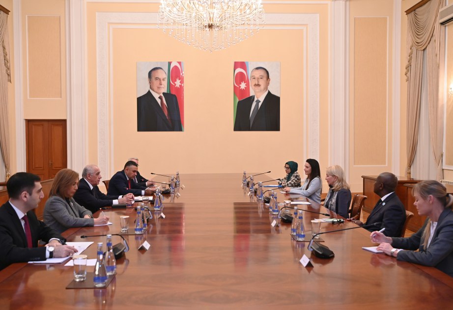 Baş nazir UNICEF-in icraçı direktoru ilə GÖRÜŞDÜ Baş nazir UNICEF-in icraçı direktoru ilə GÖRÜŞDÜ