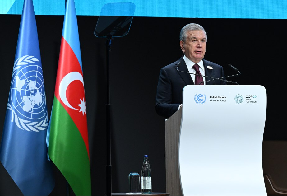 Şakvat Mirziyoyev: “İqlim dəyişmələri geosiyasi gərginliyin artmasına birbaşa təsir göstərir”