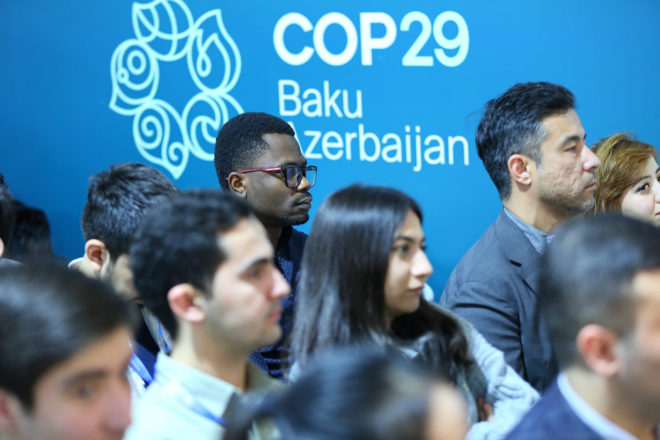 COP29 çərçivəsində “Könüllülərin ekoloji düşərgəsi”nə yekun vurulub - FOTO