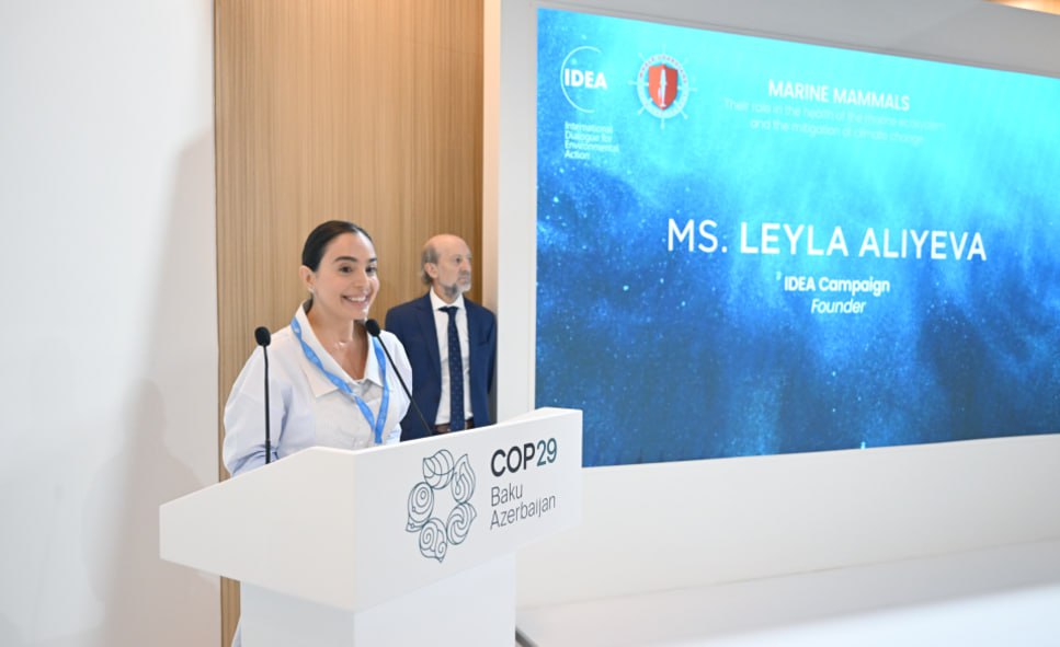 Leyla Əliyeva COP29-da dəniz canlılarına dair panel müzakirələrində iştirak edib - FOTO