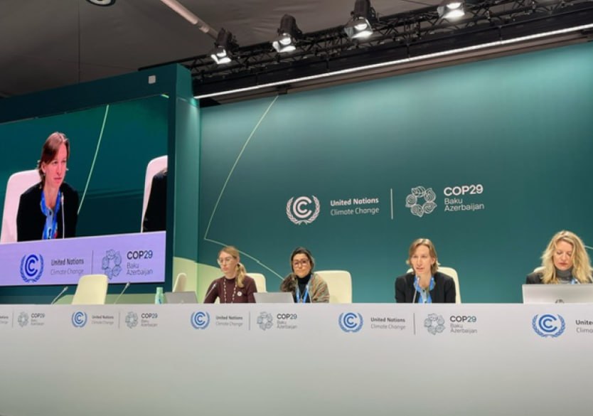 COP29 platformasında bir neçə mətbuat konfransı keçirildi - FOTO