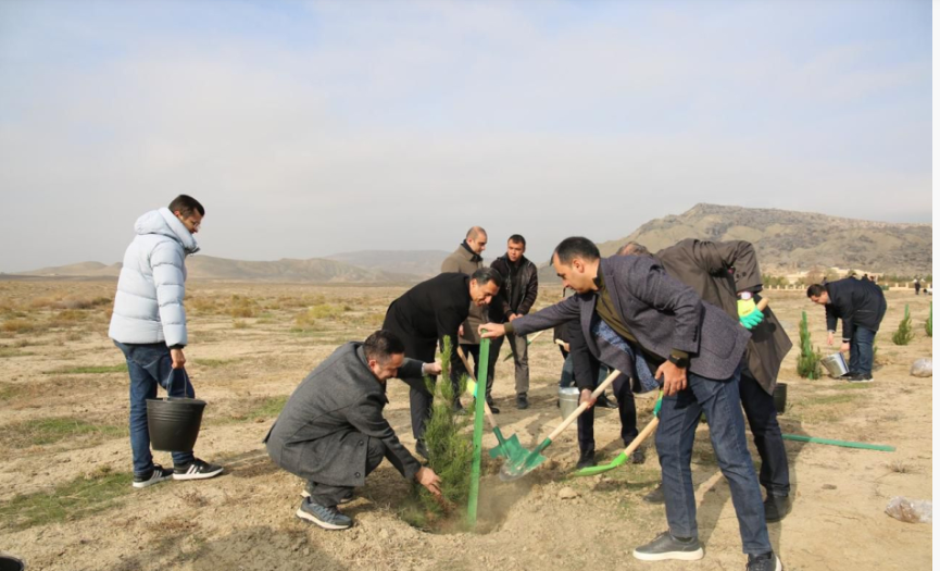 Mədəniyyət Nazirliyi Qobustan qoruğunda yaşıllaşdırma aksiyası keçirdi - FOTO