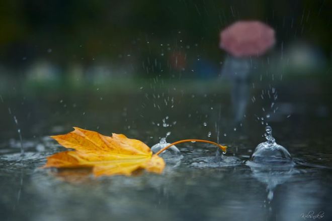 Sabah bəzi yerlərdə yağış yağacaq – PROQNOZ 