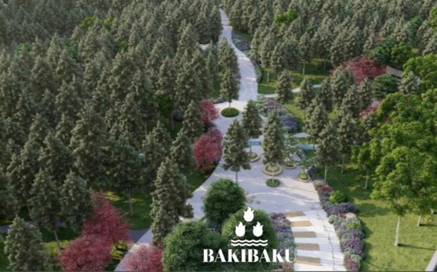 Bakıda yeni park salınır – FOTO