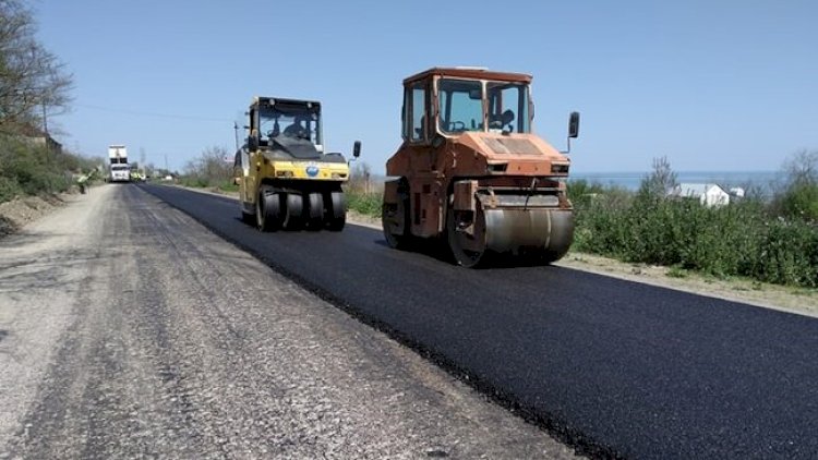 Bakıda yeni yol salınır: 1650 ağac ərazidən köçürüləcək - VİDEO