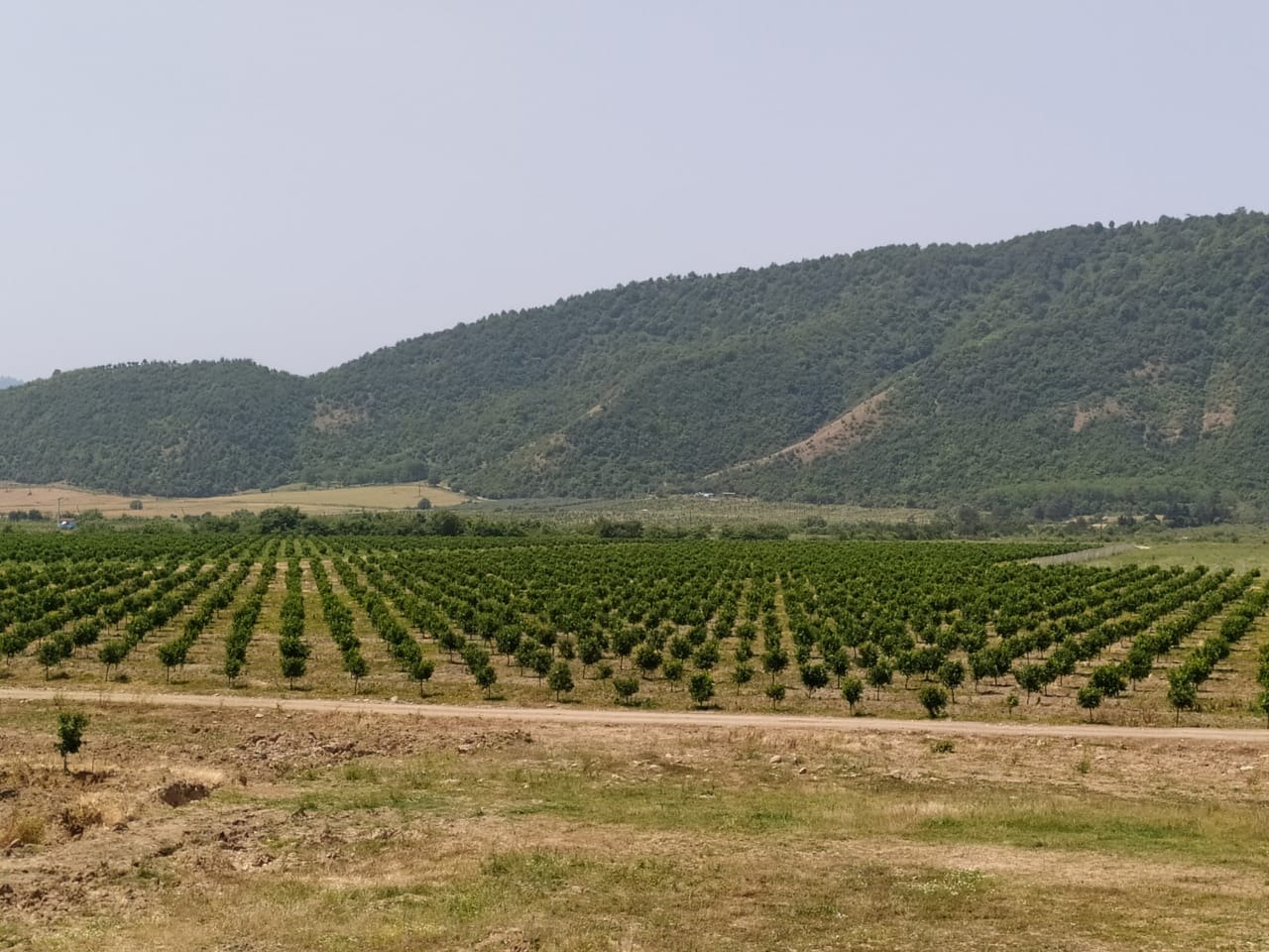 Torpaq sahələrinizi satmayın! – “Tezliklə elə bir şey olacaq ki…”