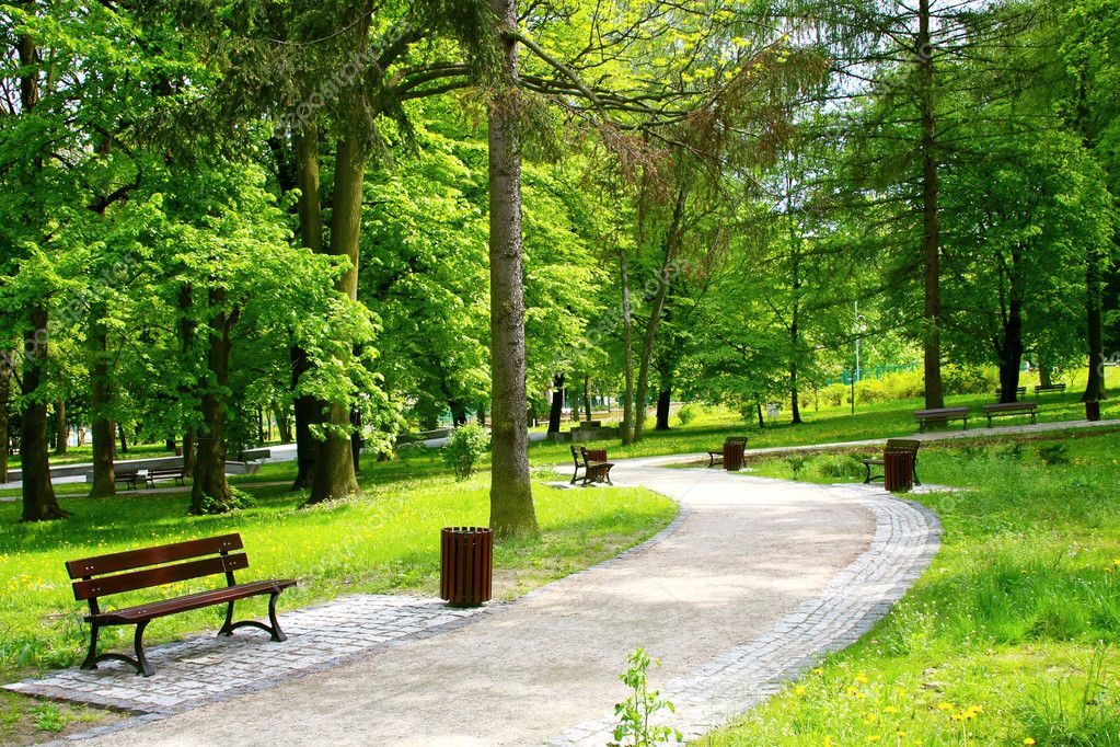 Bakıda yeni park salınacaq - BU ƏRAZİDƏ