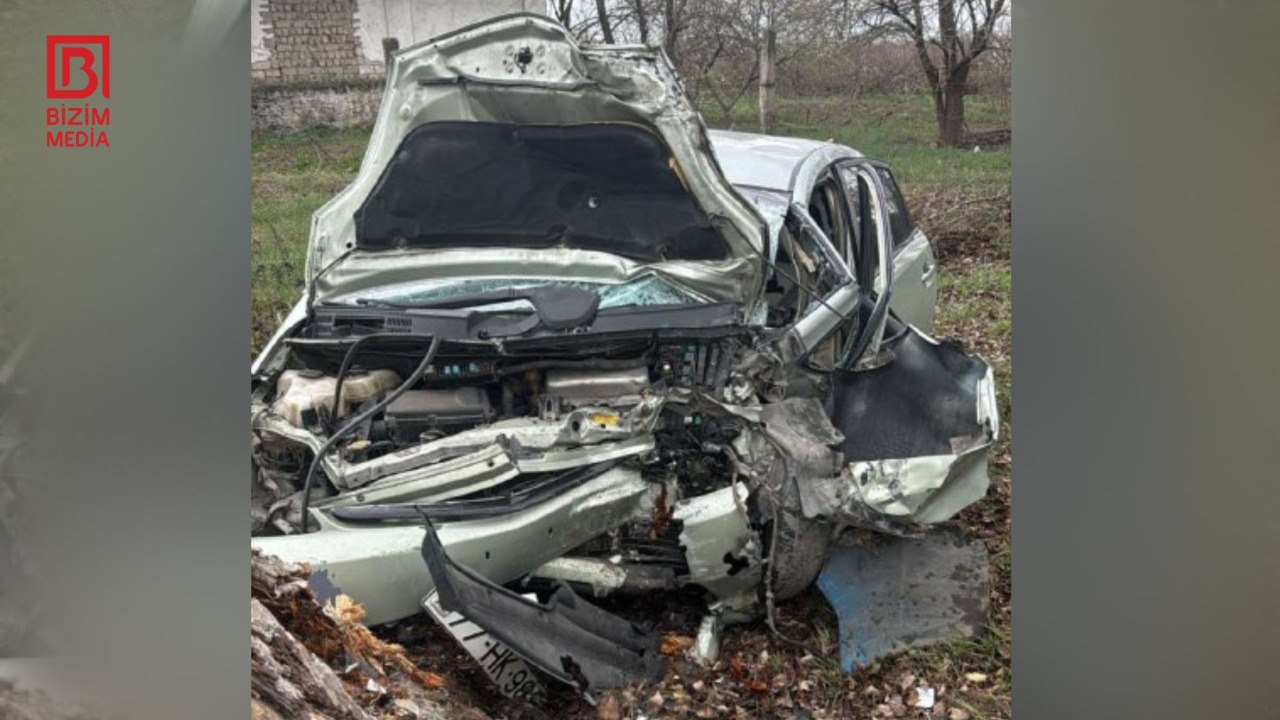 Qubada “Prius” ağacı AŞIRDI Qubada “Prius” ağacı AŞIRDI