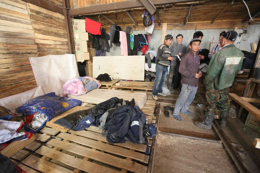 Rusiyalı nənədən qeyri-adi CİNAYƏT – 83 miqrantı... - FOTO