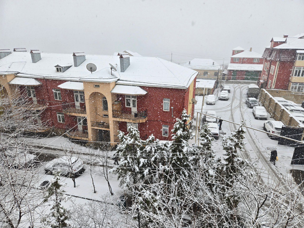 Qusardan maraqlı GÖRÜNTÜ Qusardan maraqlı GÖRÜNTÜ