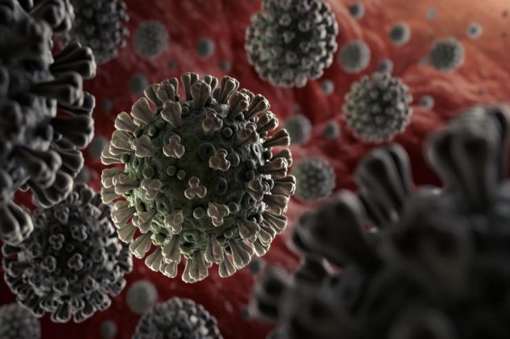 Bəşəriyyət yeni ölümcül epidemiya ilə üz-üzə: Bu heyvanlardan keçəcək