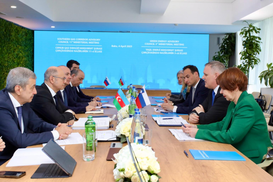 Azərbaycan və Sloveniya arasında energetika sahəsində əməkdaşlıq üzrə Anlaşma Memorandumu imzalandı - FOTO