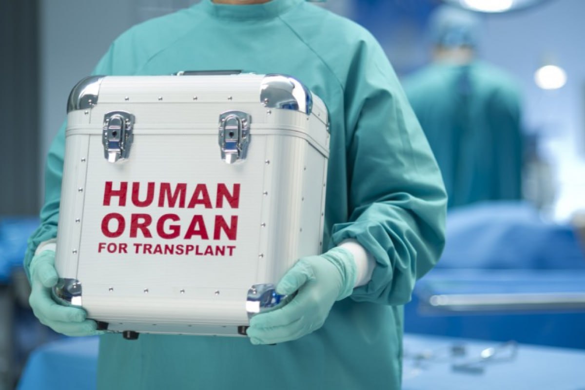 Hazırda orqan transplantasiyası gözləyən xəstələrin sayı AÇIQLANDI – RƏSMİ