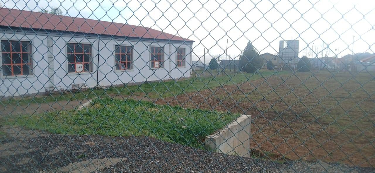 Gədəbəydə stadionu şumladılar: Kartof əkəcəklər - FOTO