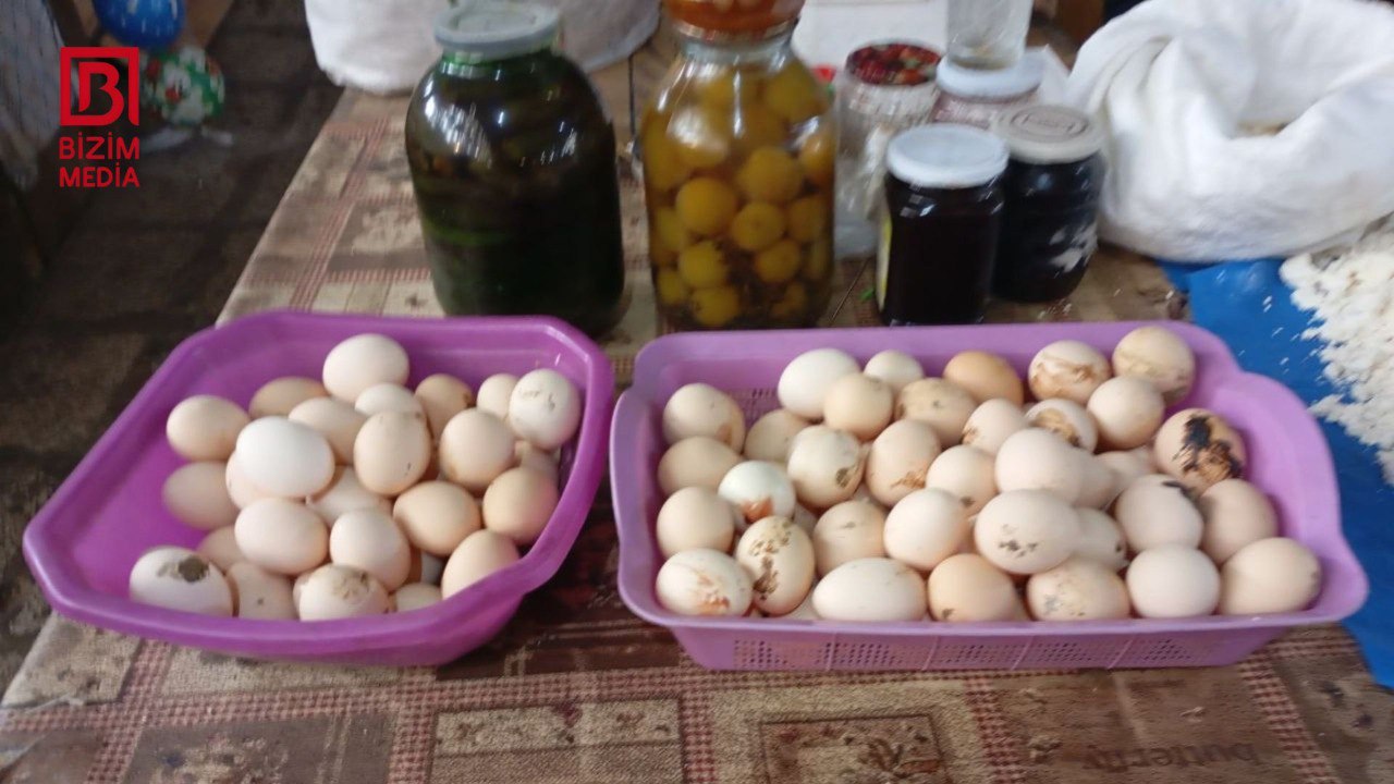 Rekord UCUZLAŞMA – Kənd yumurtası 15 qəpiyə SATILIR – FOTO Rekord UCUZLAŞMA – Kənd yumurtası 15 qəpiyə SATILIR – FOTO