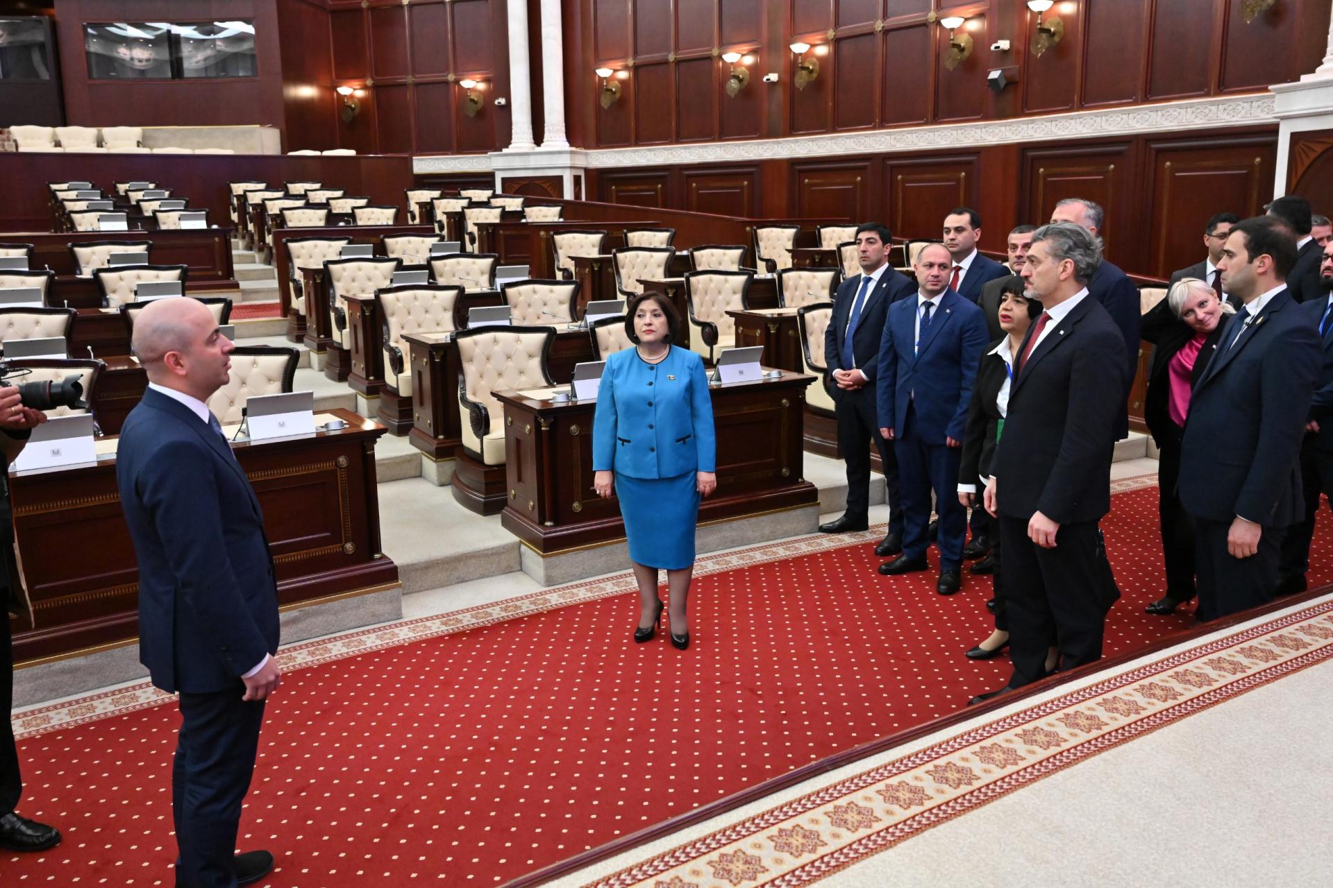 Gürcüstan Prezidenti Milli Məclisdə - FOTO