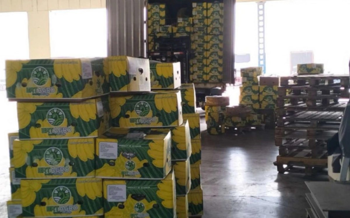 Azərbaycana gətirilən 24 ton banan məhv edildi – FOTO Azərbaycana gətirilən 24 ton banan məhv edildi – FOTO