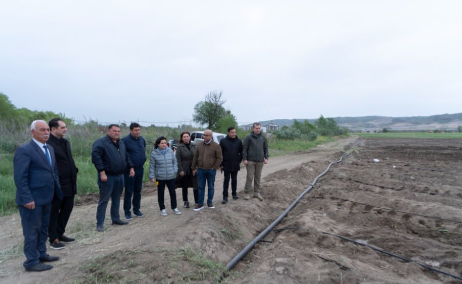 Ağalı kəndində torpaqların sakinlərə icarəyə verilməsi PROSESİNƏ BAŞLANDI – FOTO