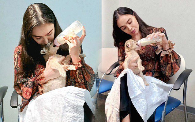 Leyla Əliyevanın şir balası ilə maraqlı VİDEOSU Leyla Əliyevanın şir balası ilə maraqlı VİDEOSU