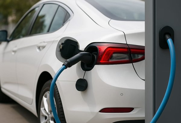 Azərbaycana gətirilən elektromobillərin sayı AZALIB