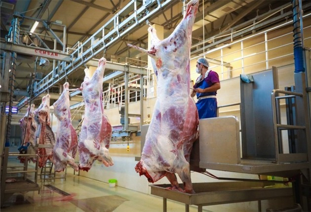 Qurbanlıq heyvanlar üçün kəsim yerləri AÇIQLANDI – ÜNVANLAR