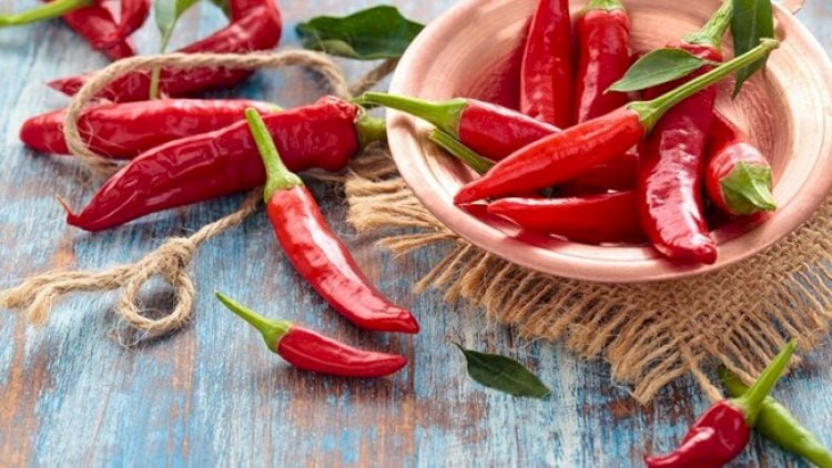 Acı qidaları sevənlərin NƏZƏRİNƏ – Bədəninizdə bu vitamin ÇATIŞMIR!