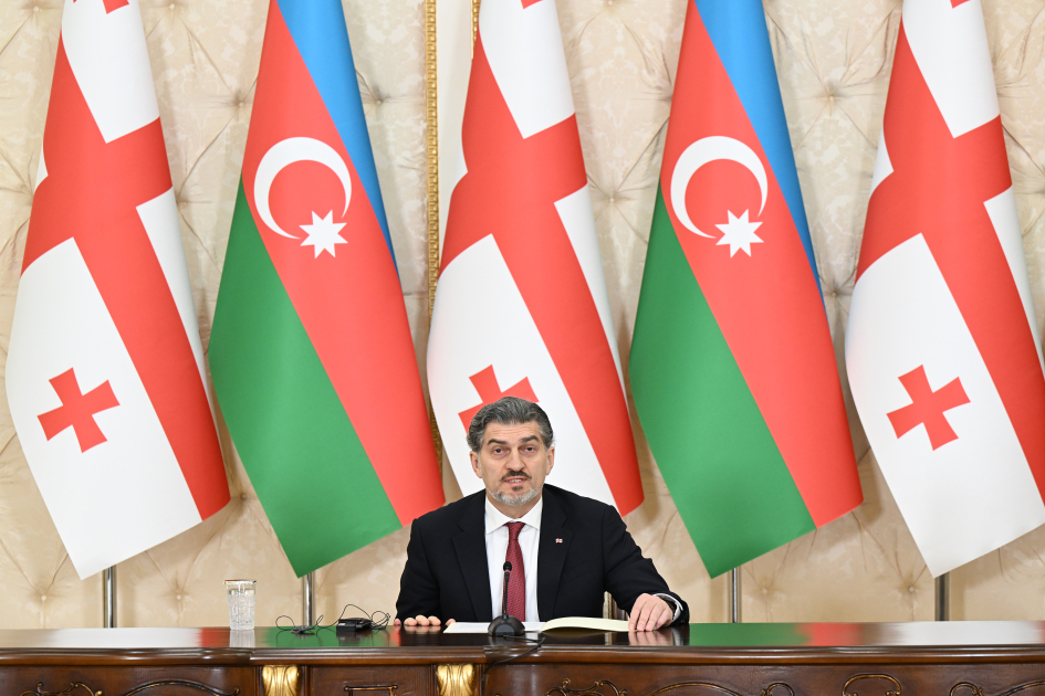 “Azərbaycan beynəlxalq aləmdə nüfuzlu rola malik ölkə olmaq üçün xeyli çətinliklərin öhdəsindən gəlib”