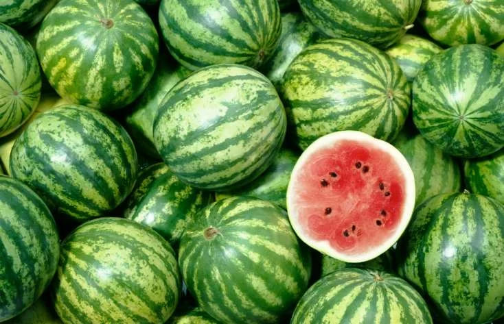 Bu aylarda qarpız yemək olar?