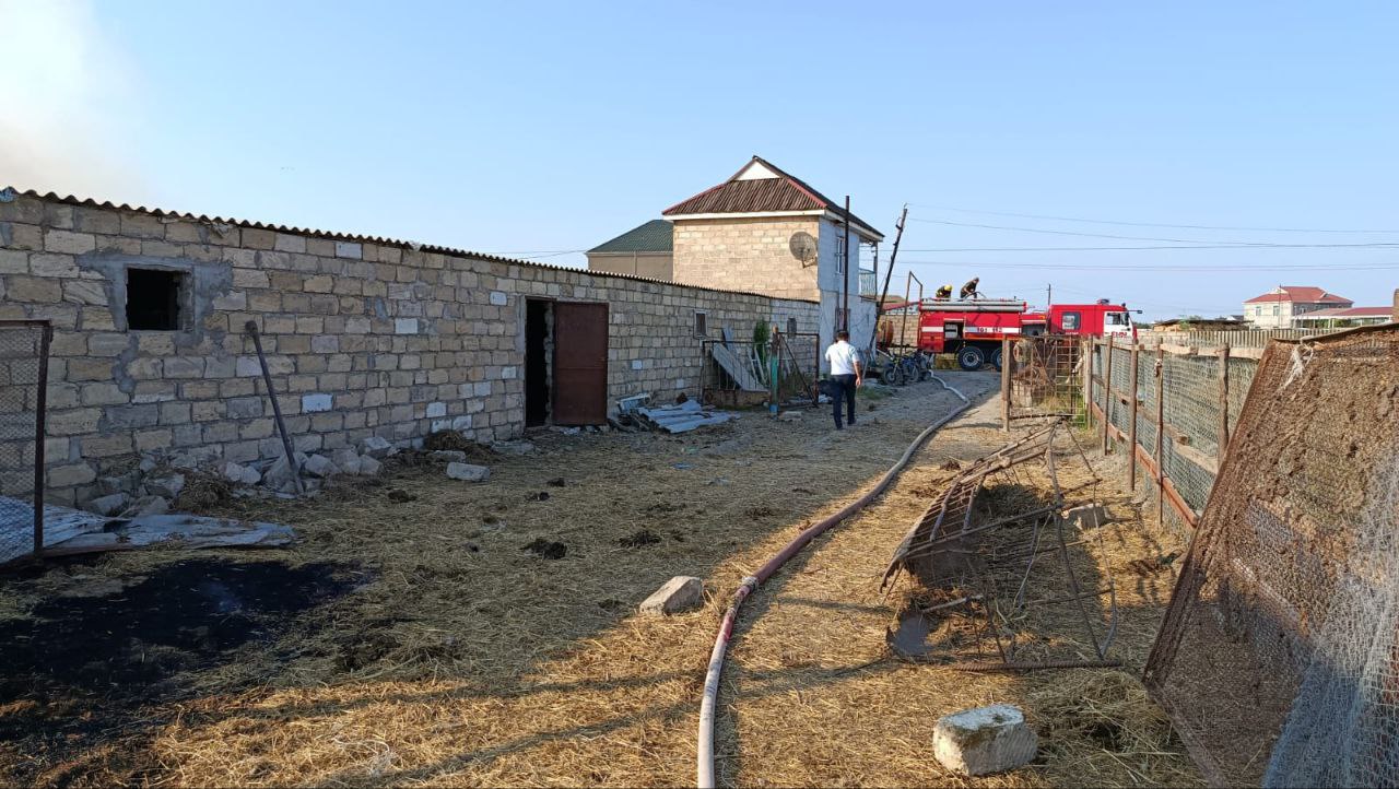 Salyanda fermada güclü yanğın BAŞLAYIB - FOTO/VİDEO Salyanda fermada güclü yanğın BAŞLAYIB - FOTO/VİDEO