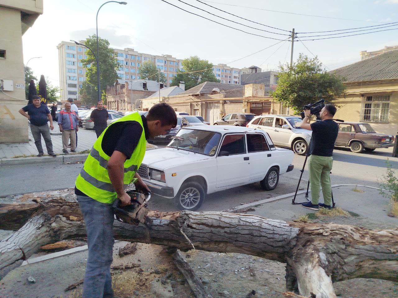 Gəncədə külək fəsadlar TÖRƏTDİ: Ağac maşının üstünə aşdı - FOTO Gəncədə külək fəsadlar TÖRƏTDİ: Ağac maşının üstünə aşdı - FOTO