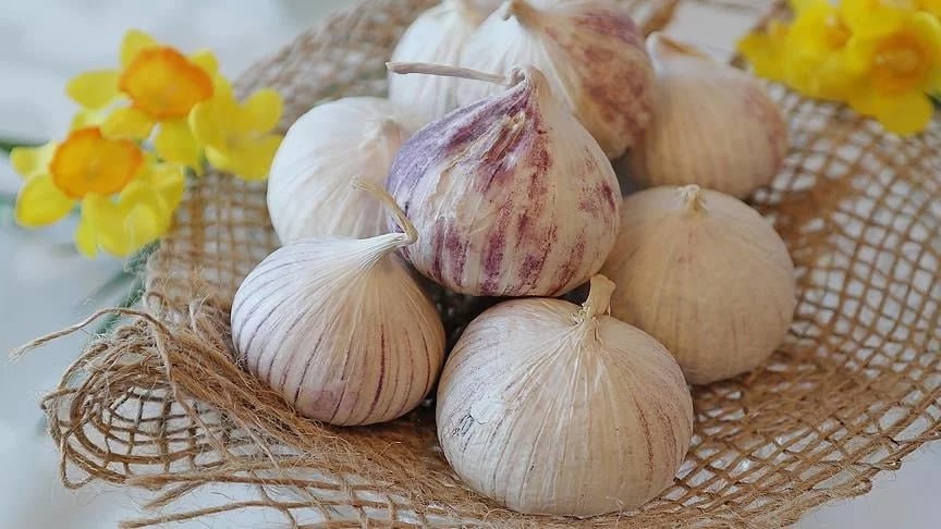 İcazəsiz yığımı QADAĞANDIR! İcazəsiz yığımı QADAĞANDIR!