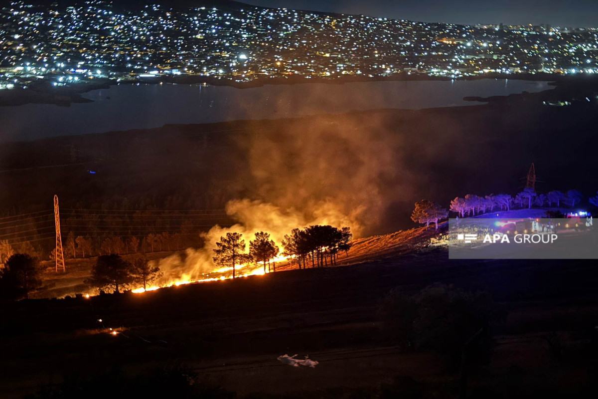 Xocahəsən gölü ətrafında yanğın söndürüldü – YENİLƏNİB – FOTO