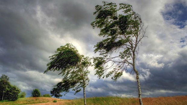 Küləkli hava şəraiti ilə bağlı sarı XƏBƏRDARLIQ