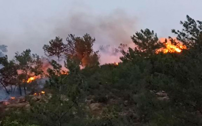 SON DƏQİQƏ: Laçında meşə yanır SON DƏQİQƏ: Laçında meşə yanır