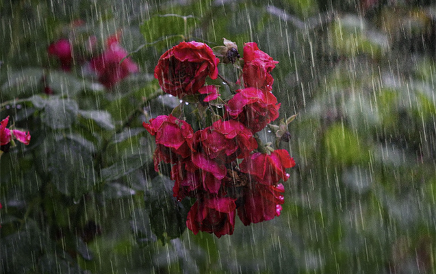 Hava kəskin DƏYİŞİR – Temperatur enəcək, yağış yağacaq