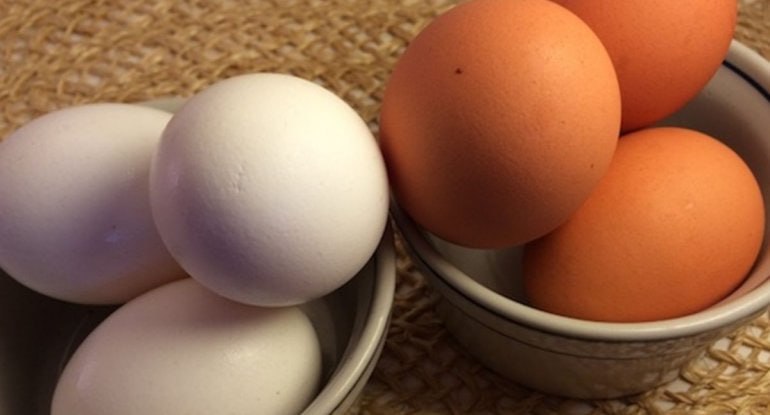 Sarı, yoxsa ağ - Hansı yumurta daha faydalıdır? Sarı, yoxsa ağ - Hansı yumurta daha faydalıdır?